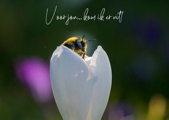 Liefde kaart met witte bloem en een mooie bij