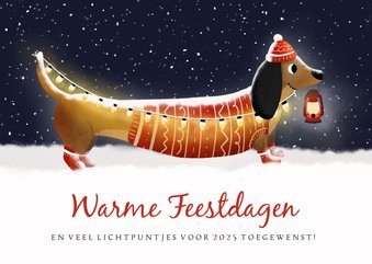 Liefdevolle kerstkaart - Teckel met lampjes in de sneeuw