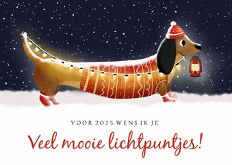 Liefdevolle nieuwjaarskaart Teckel met lampjes in de sneeuw