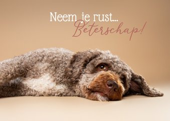 Lieve beterschapskaart liggend hondje met zielig kopje