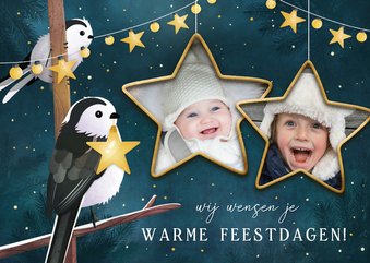 Lieve kerstkaart met 2 vogels met lampjes en eigen foto's