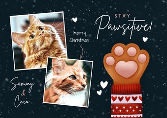 Lieve kerstkaart Stay Pawsitive, kattenpootje en foto's