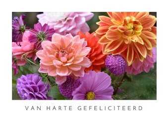 Moderne felicitatiekaart met een foto van bloeiende dahlia's