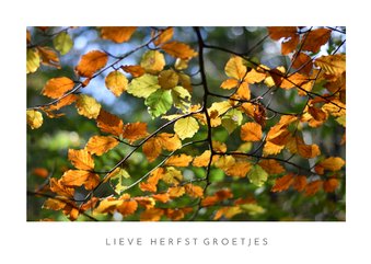 Moderne herfst wenskaart met natuurfoto van bladeren