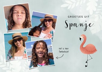 Moderne vakantiekaart met plantjes, flamingo en fotocollage