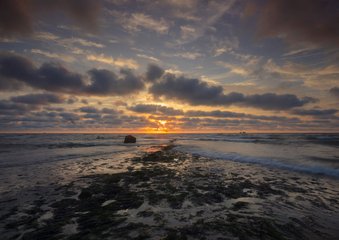 Mooie zon langs de kust