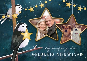 Nieuwjaarskaart met eigen foto's en illustratie van vogels