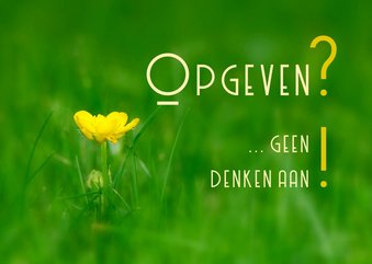 opgeven - geen denken aan