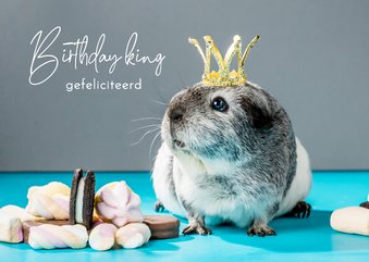 Originele verjaardagskaart met cavia kroon