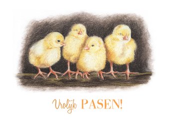Paaskaart vier kuikentjes op een rij