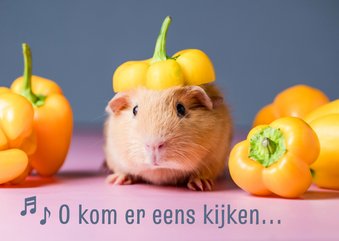 Sinterklaaskaart cavia met pietenmuts van paprika