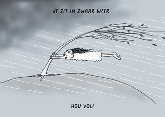 Sterkte - je zit in zwaar weer