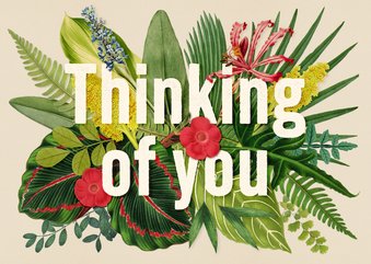 Sterkte thinking of you kaart planten en bloemencollage 