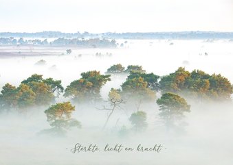 Sterktekaart bomen in de mist