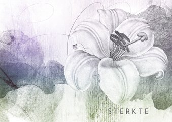 Sterktekaart lila lelie tekening