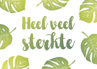 Sterktekaart monstera blaadjes