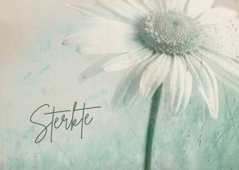Sterktekaart vintage filter margrietje