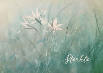 Sterktekaart vintage filter veldbloemen