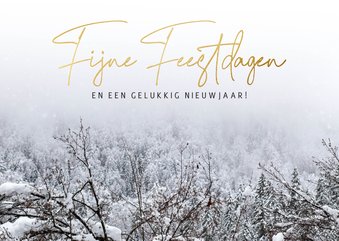 Stijlvolle kerstkaart foto sneeuwlandschap Fijne Feestdagen