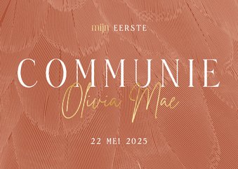 Uitnodiging communie stijlvol met veren terracotta