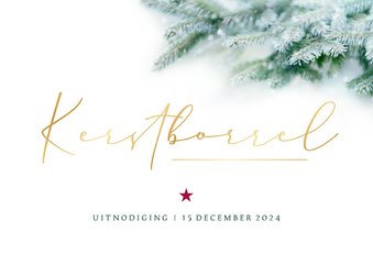 Uitnodiging kerstdiner of kerstborrel stijlvol dennentakjes