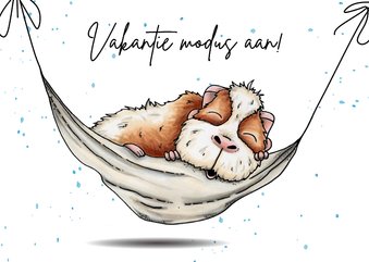 Vakantiekaart cavia in hangmat