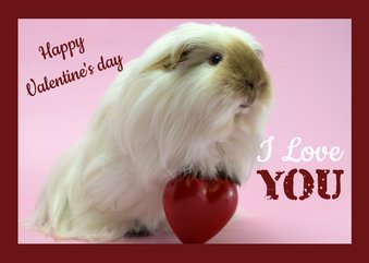 Valentijnskaart met cavia die een lieve groet brengt