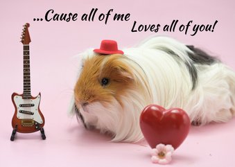 Valentijnskaart met cavia en muziek