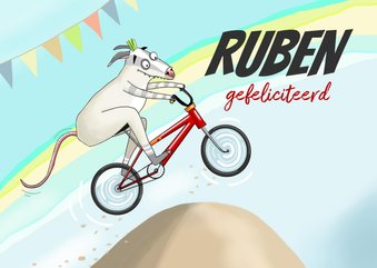 Verjaardag - BMX racebeest