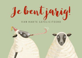 Verjaardag - schapenverjaardag