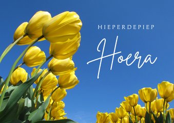 Verjaardagskaart bloemen Gele tulpen