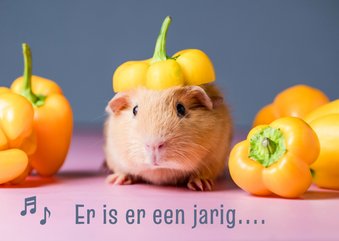 verjaardagskaart cavia met feestmuts van paprika