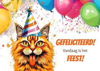 Verjaardagskaart feest met kater