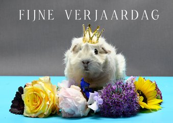 Verjaardagskaart, feestelijke cavia en een zee van bloemen.