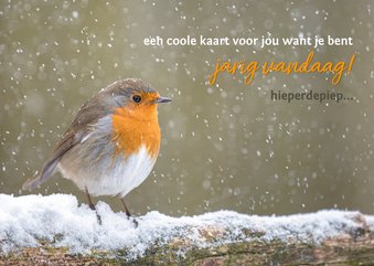 Verjaardagskaart roodborst in stuifsneeuw