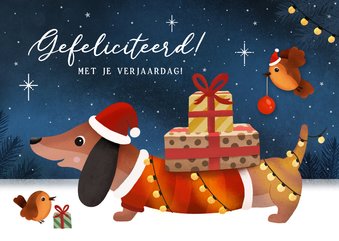Verjaardagskaart teckel kerstkaart winter met roodborstje
