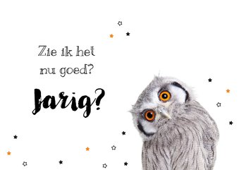 Verjaardagskaart - Uil - Zie ik het goed? Jarig?