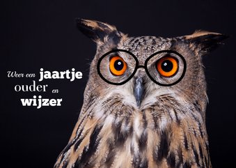 Verjaardagskaart - Wijze uil een jaartje ouder