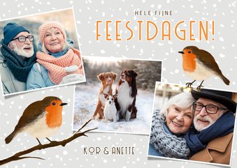 Vrolijke winterse kerstkaart met eigen foto's en roodborstje