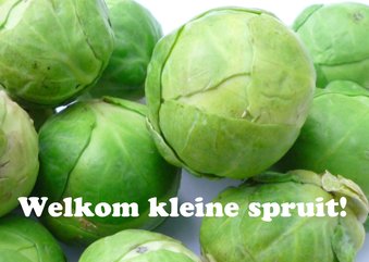 Welkom kleine spruit