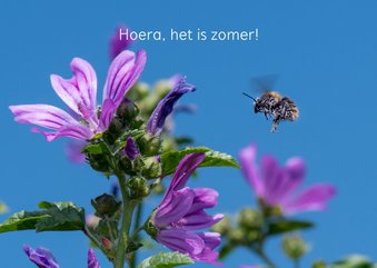 Wenskaart met bloemen en vliegende bij