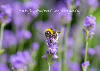 Wenskaart met paarse lavendel een een vrolijke hommel