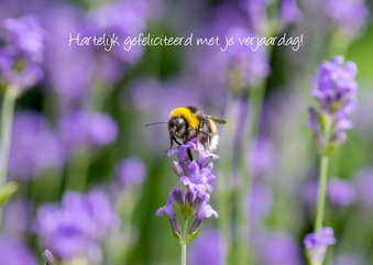 Wenskaart met paarse lavendel een een vrolijke hommel