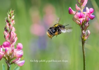 Wenskaart met roze bloemen en een vliegende hommel