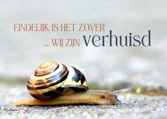 Wij verhuizen - eindelijk is het zover