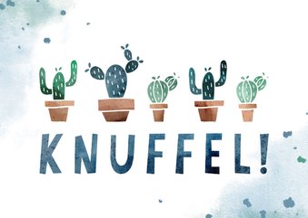 Zomaar kaart knuffel met cactussen