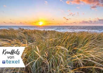 Zomaar kaart met kusjes vanaf Texel zeezicht 