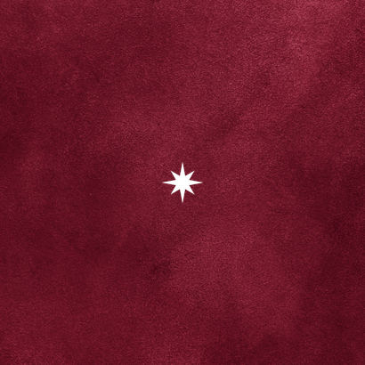 Algemene zakelijke kerstkaart 2027 rood goud best wishes Achterkant