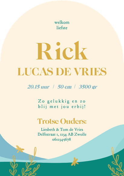 Boog vorm geboortekaartjes met landschap libelle goud jongen Achterkant