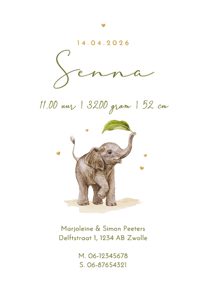 Boogkaart geboortekaartje olifant mandje baby bananenboom Achterkant